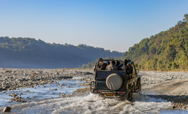 Explore the rugged beauty of Uttarakhand on a thrilling safari adventure through lush forests and rocky streams.