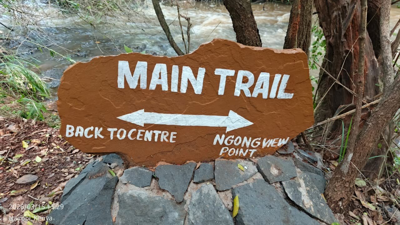 Giraffe Center Nature Trail