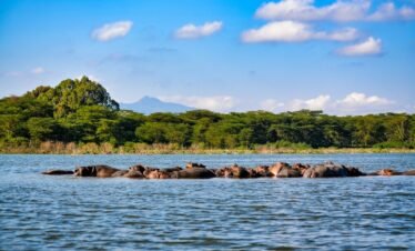 brown rocks on body of water during daytime